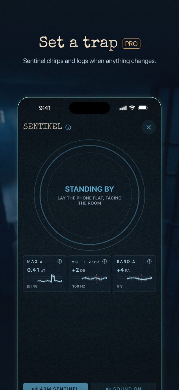 Sentinel trap standing by